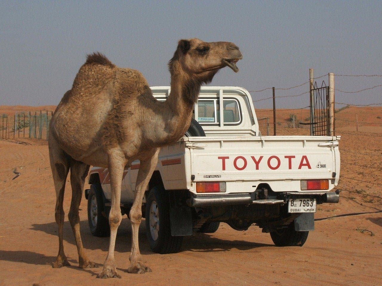 Már megint keményen száguldott a Toyota