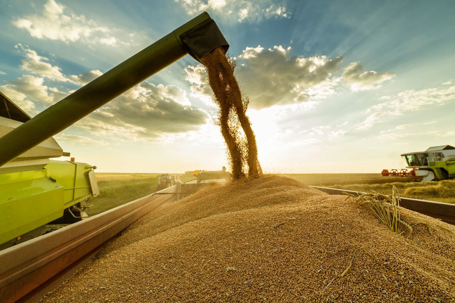 Nem kerülhetnek magyar piacra – Megjelent a lista a tiltott ukrán agrártermékekről